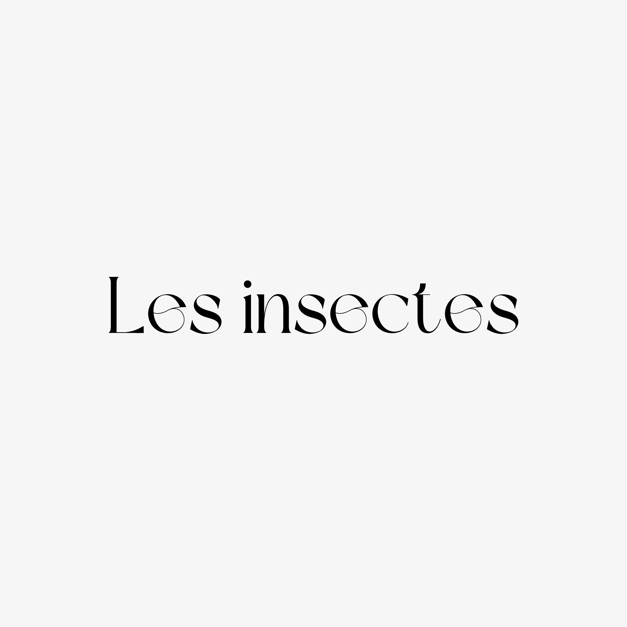 Les insectes